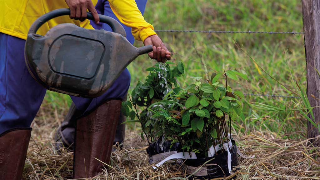 sustentabilidade